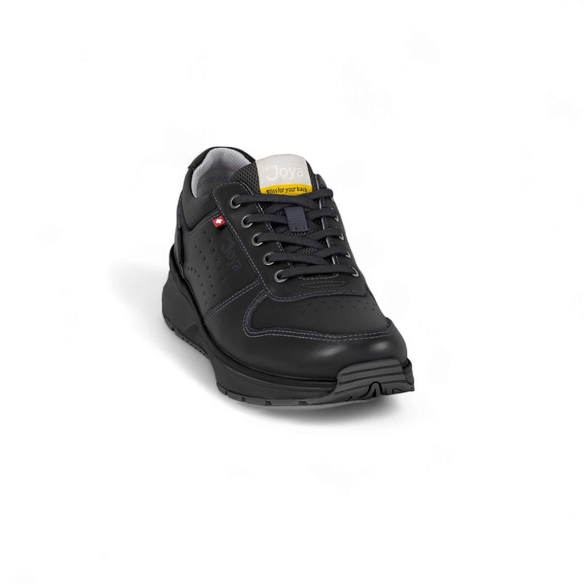 Dynamo III SR black