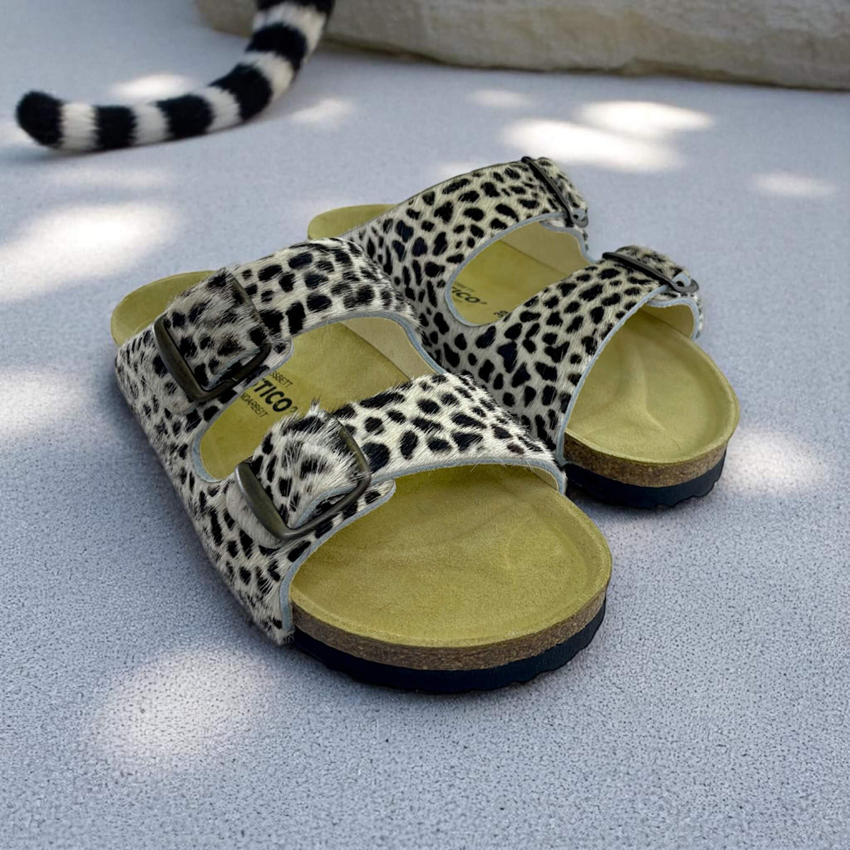 Serengeti gepard