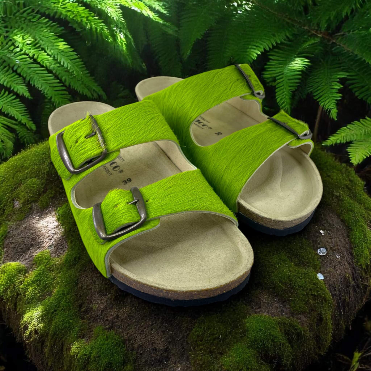 Calyptomena green