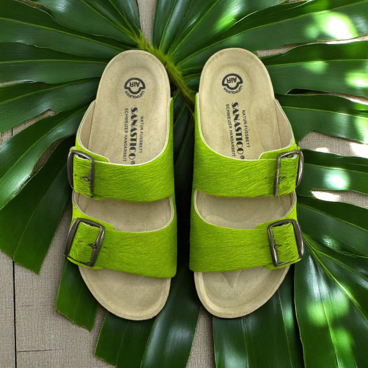 Calyptomena green