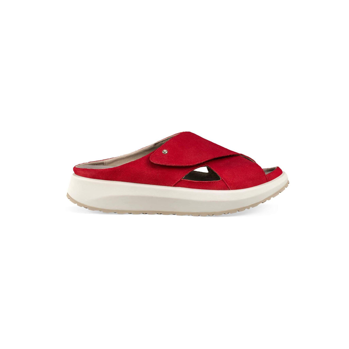 Alicante red